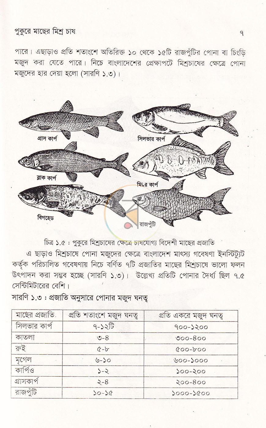 পাতা 11