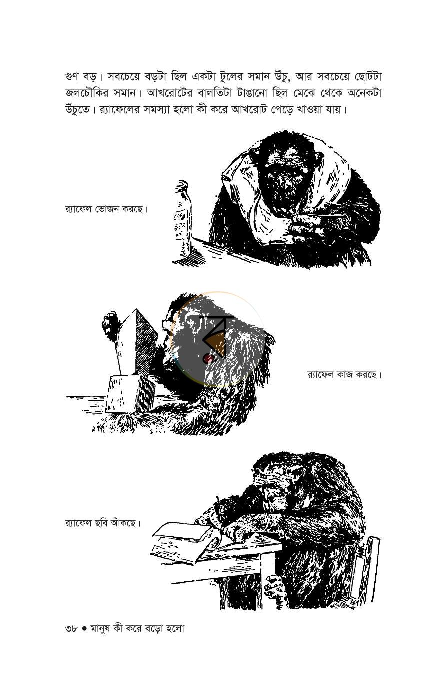 পাতা 18