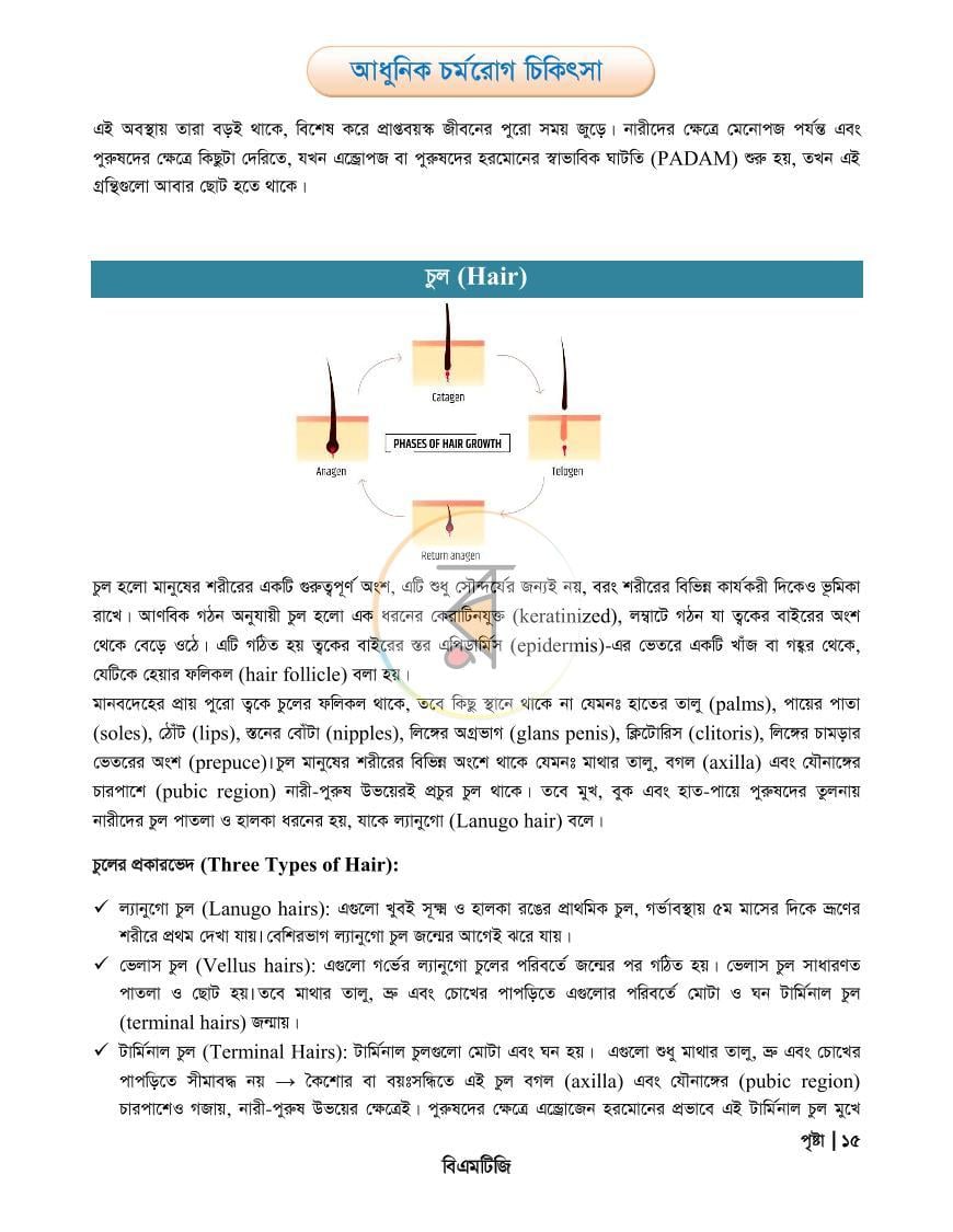 পাতা 15
