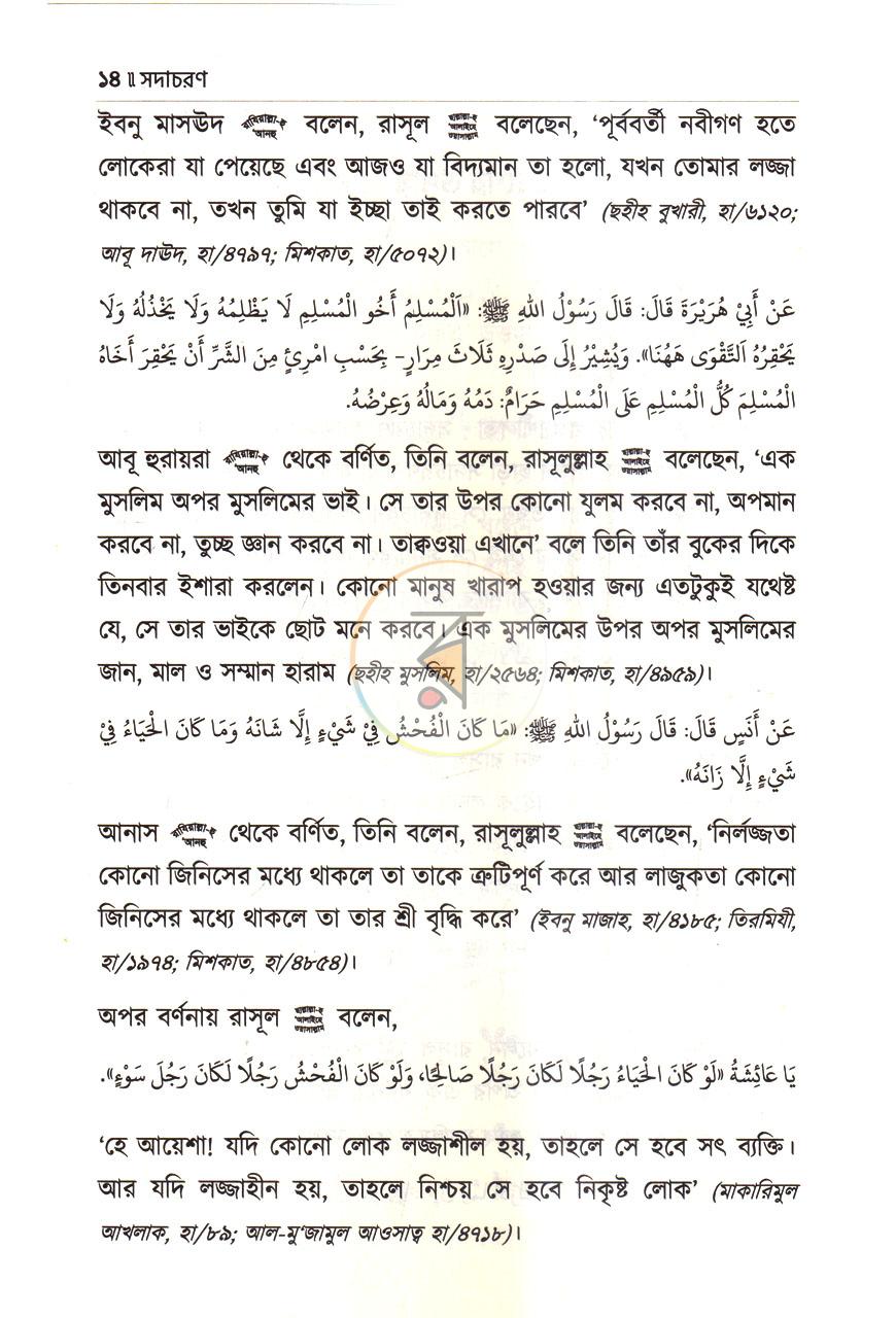 পাতা 11