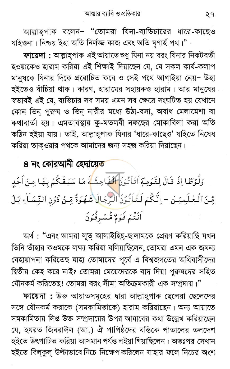 পাতা 13