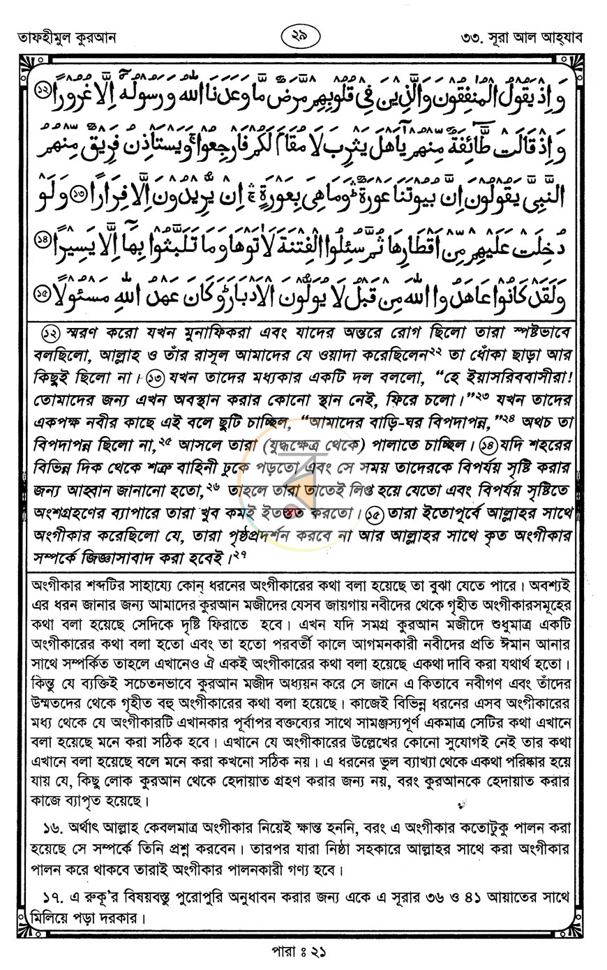 পাতা 13
