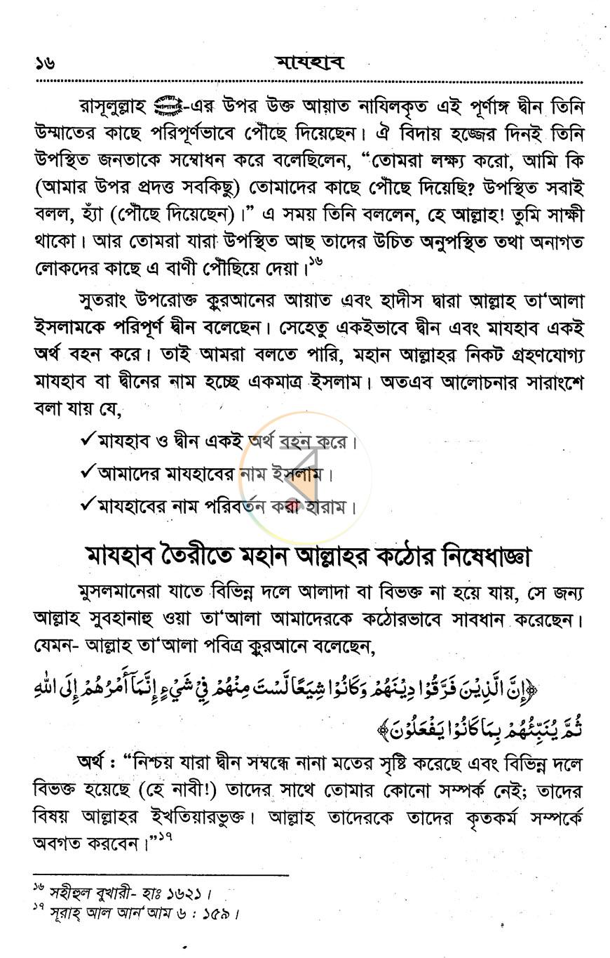 পাতা 13