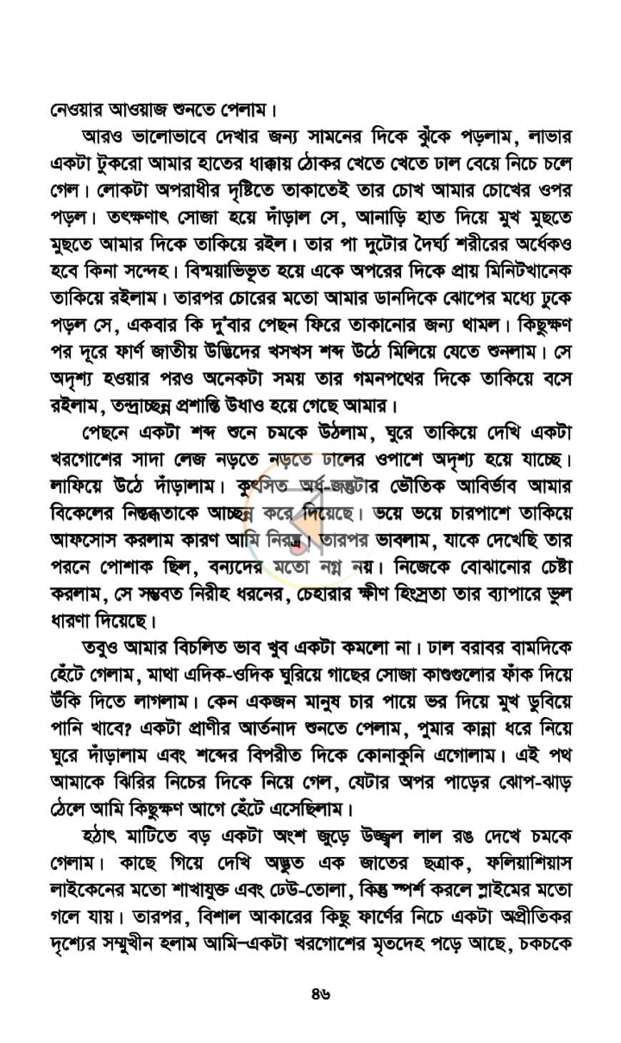পাতা 10