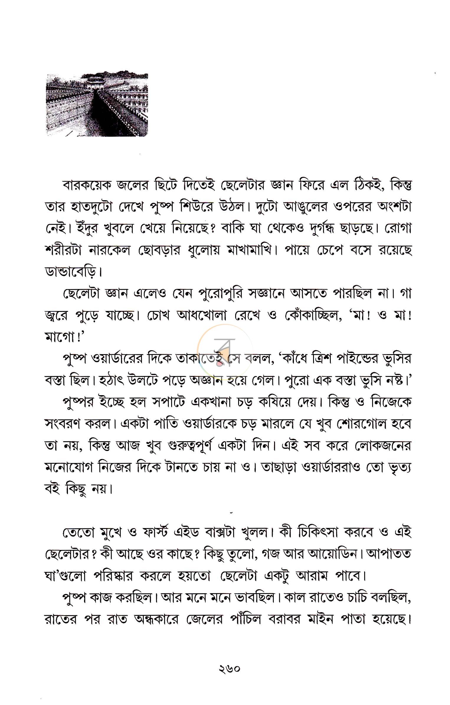 পাতা 11
