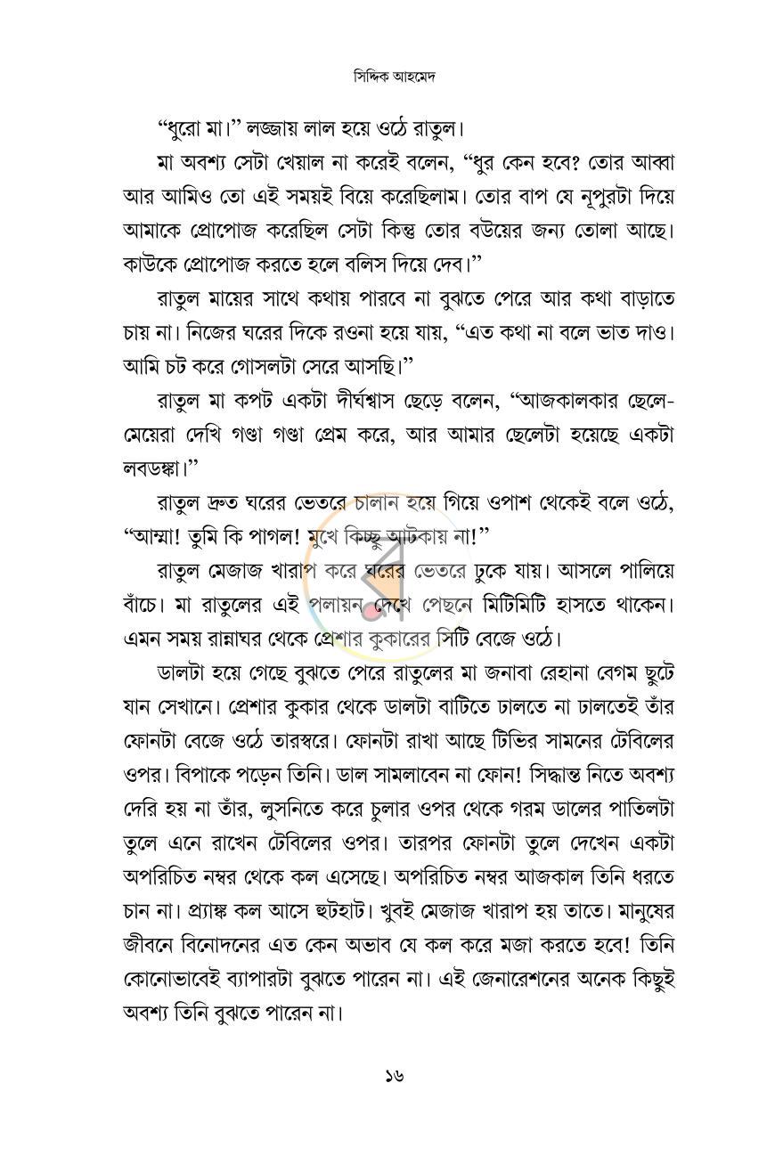 পাতা 13