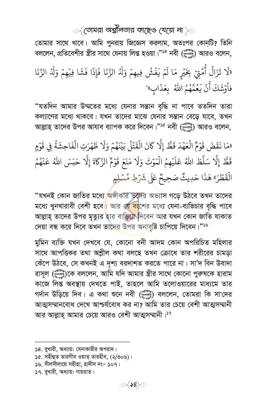 পাতা 13