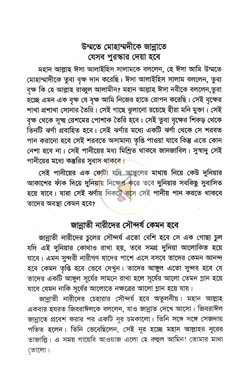 পাতা 13