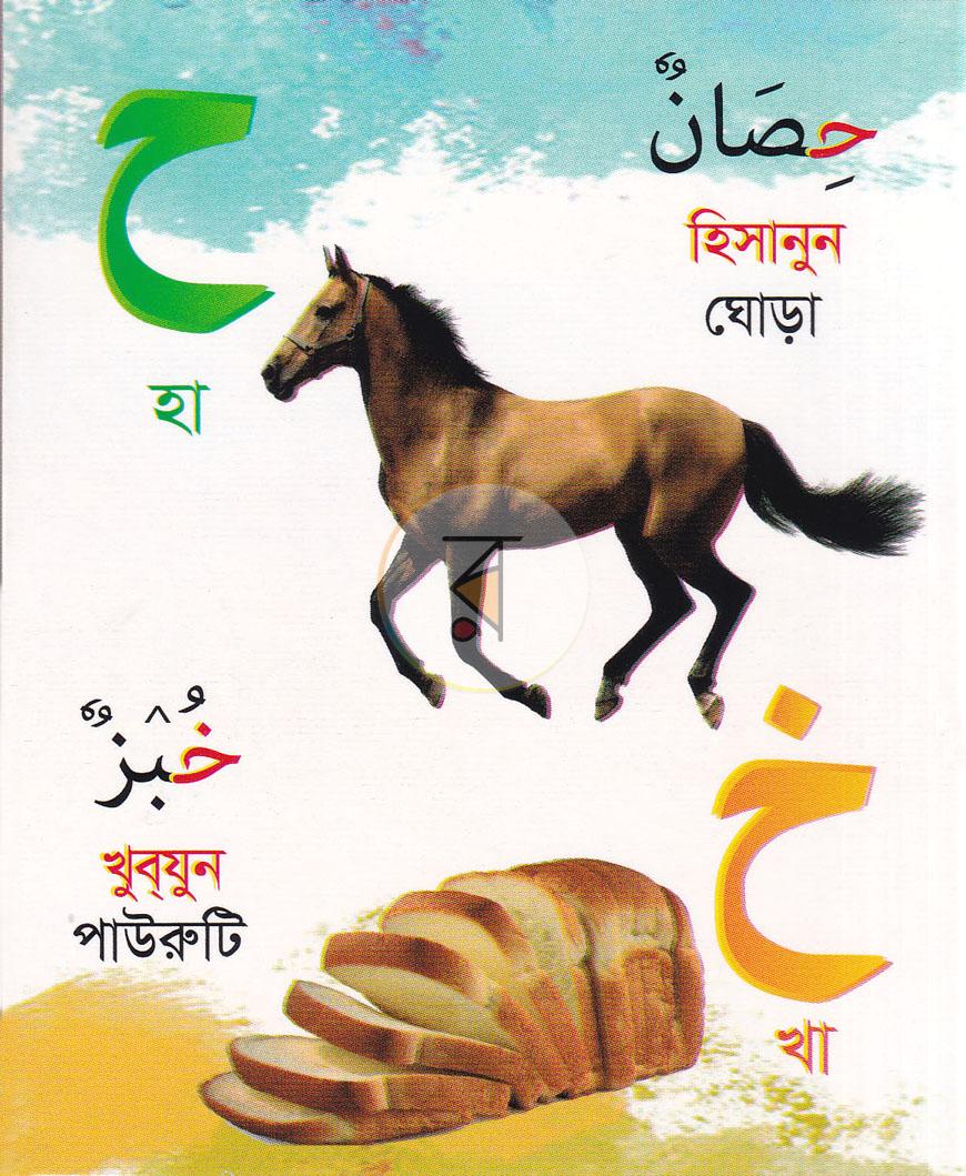 পাতা 5