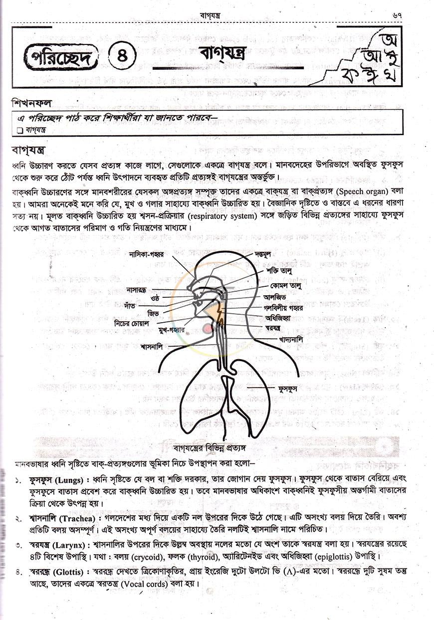 পাতা 20