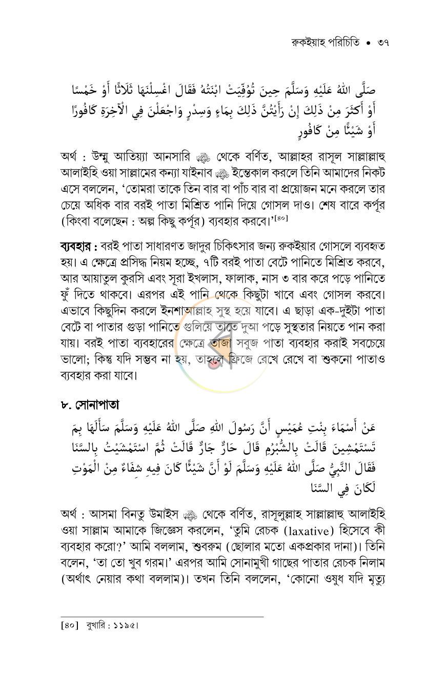 পাতা 33