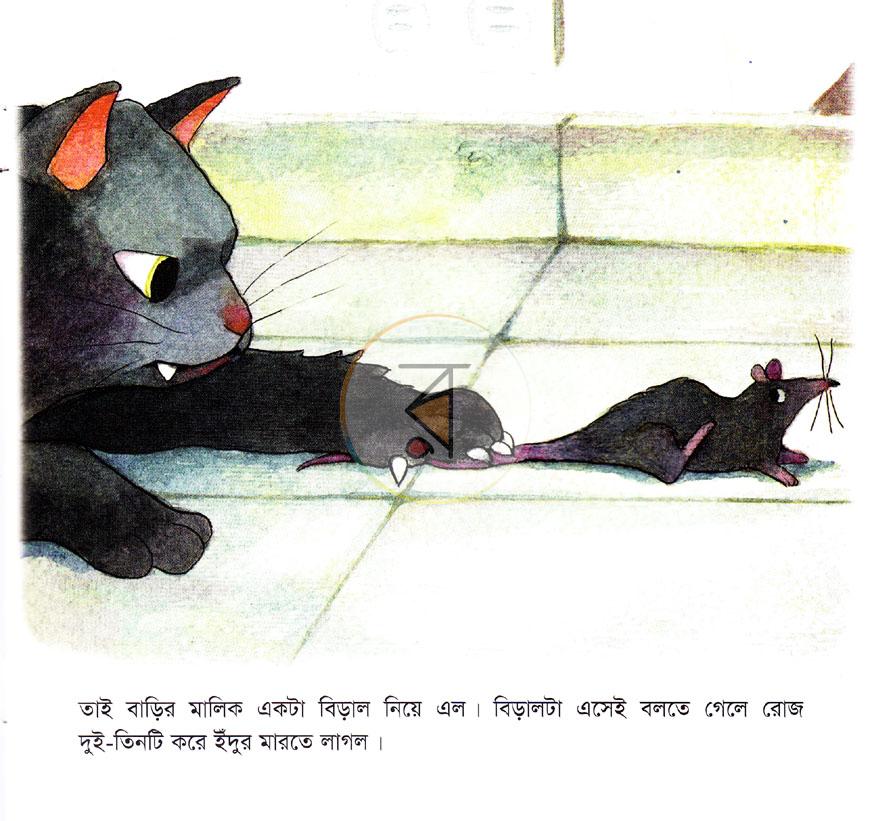 পাতা 5