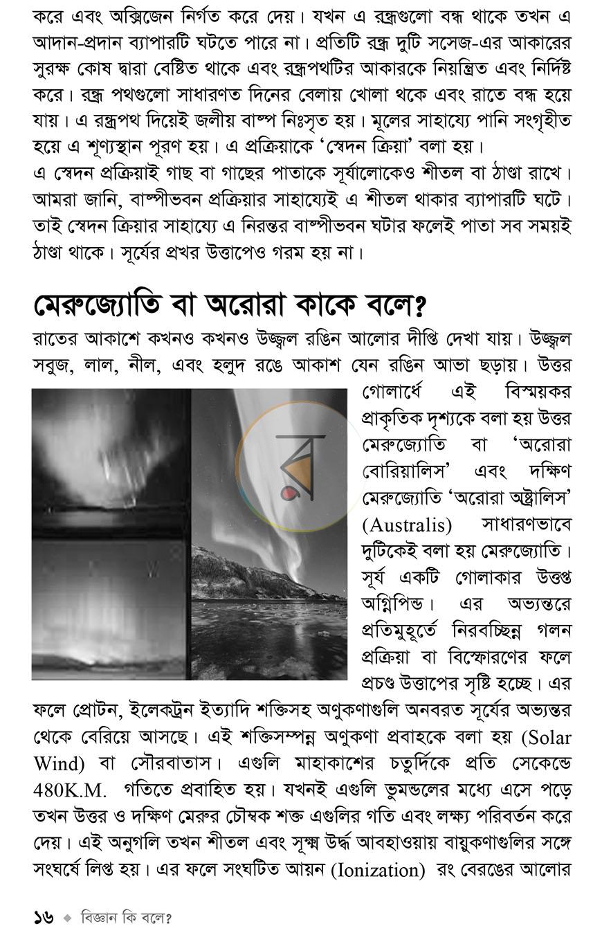 পাতা 11