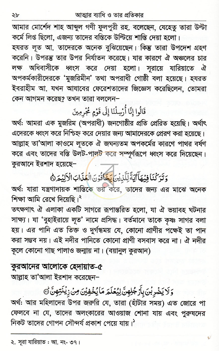 পাতা 11