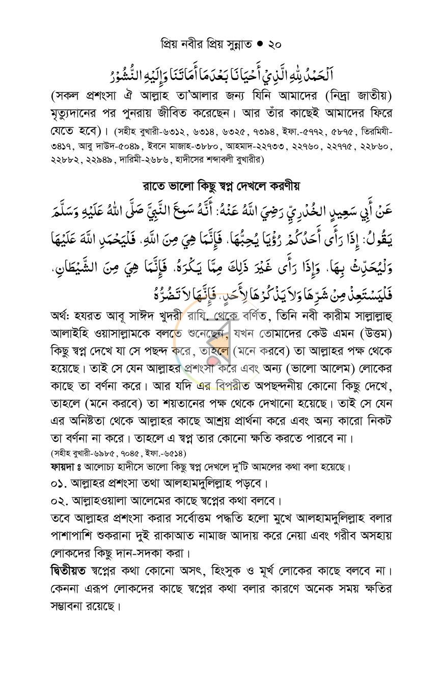 পাতা 19
