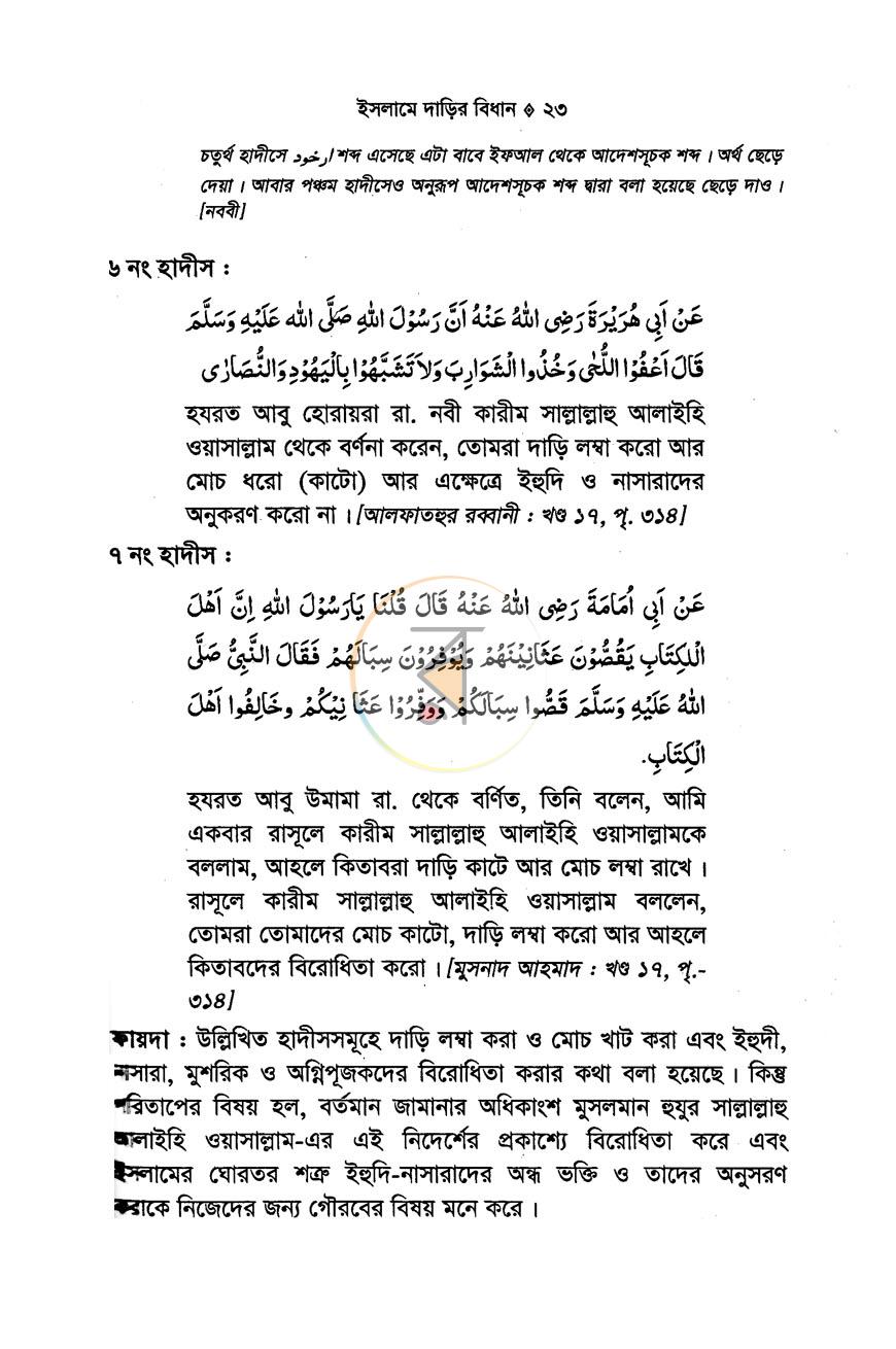 পাতা 10
