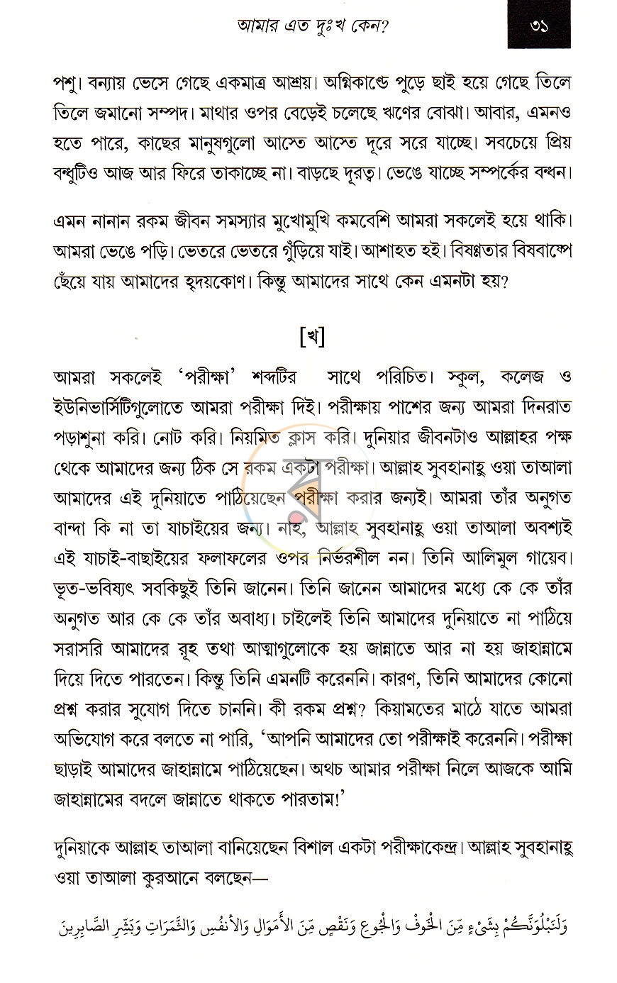পাতা 13