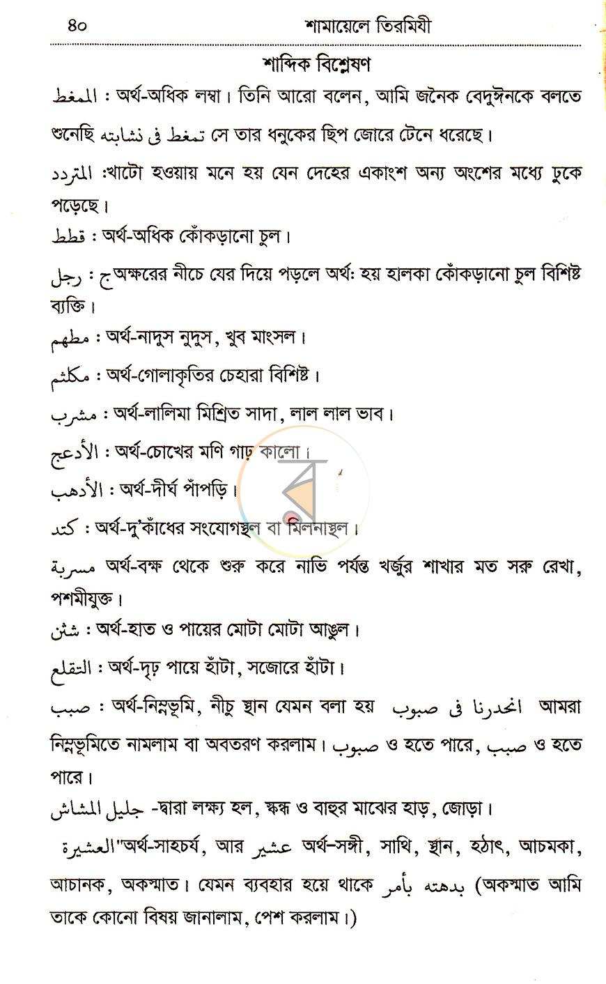পাতা 13
