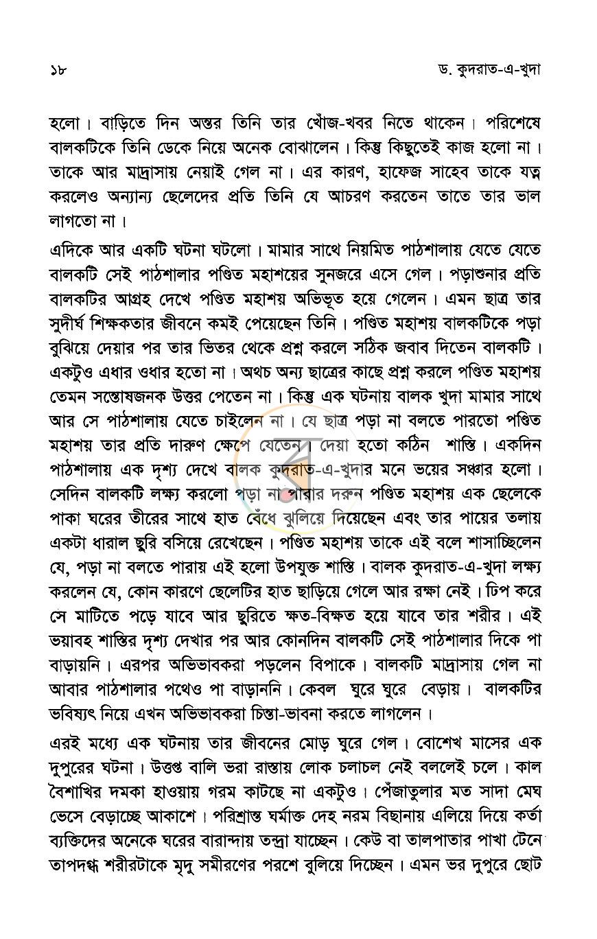 পাতা 13