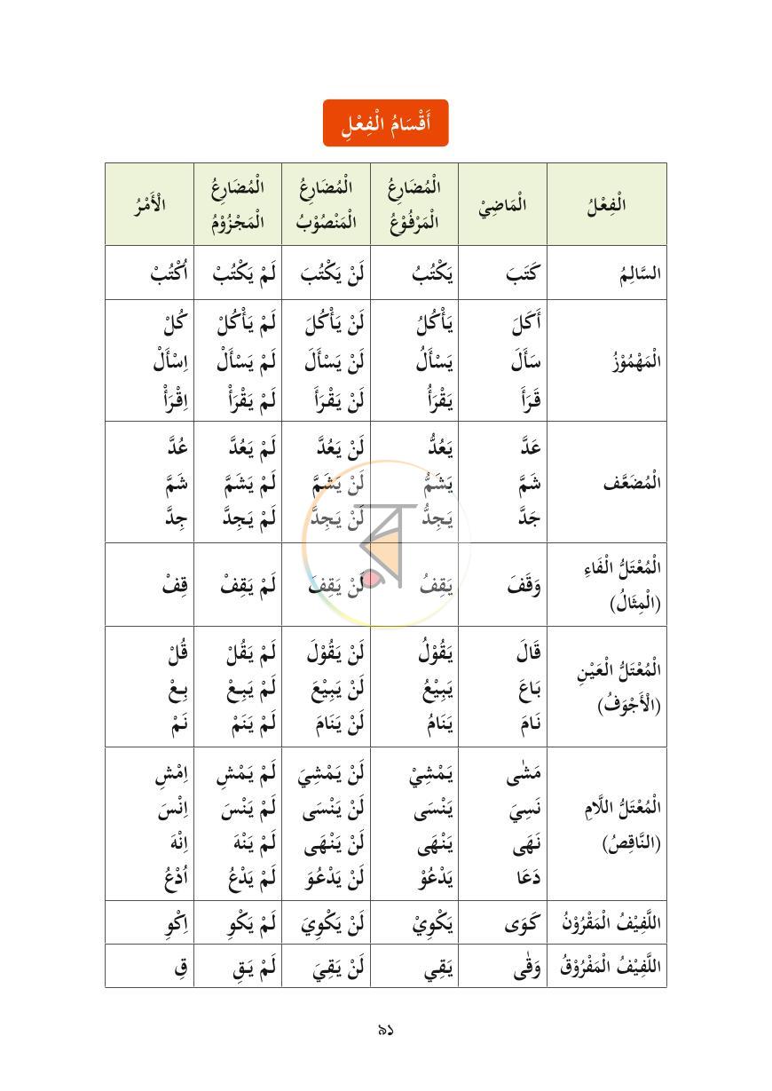পাতা 24
