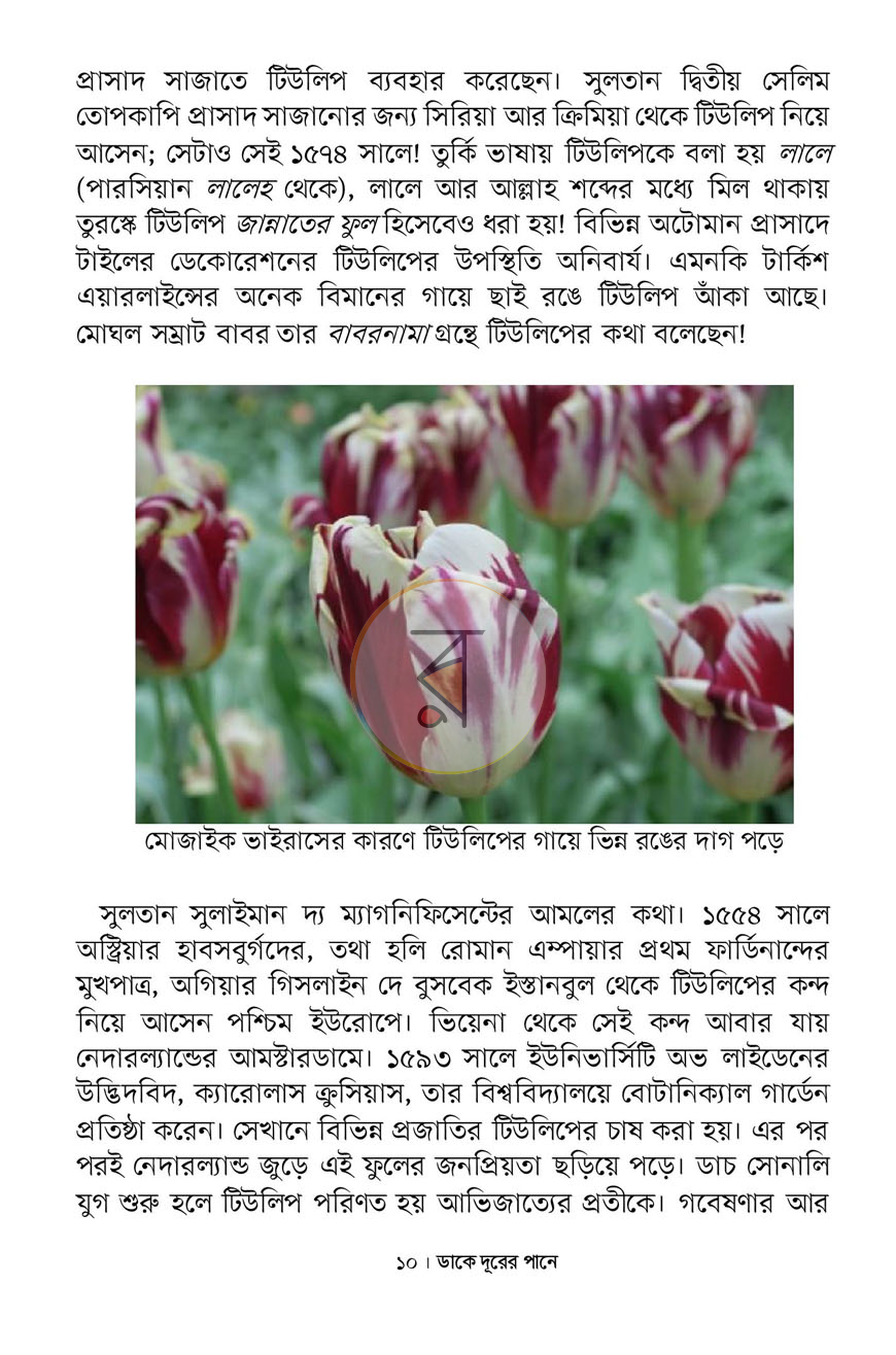 পাতা 6