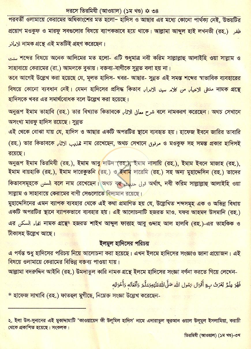 পাতা 13