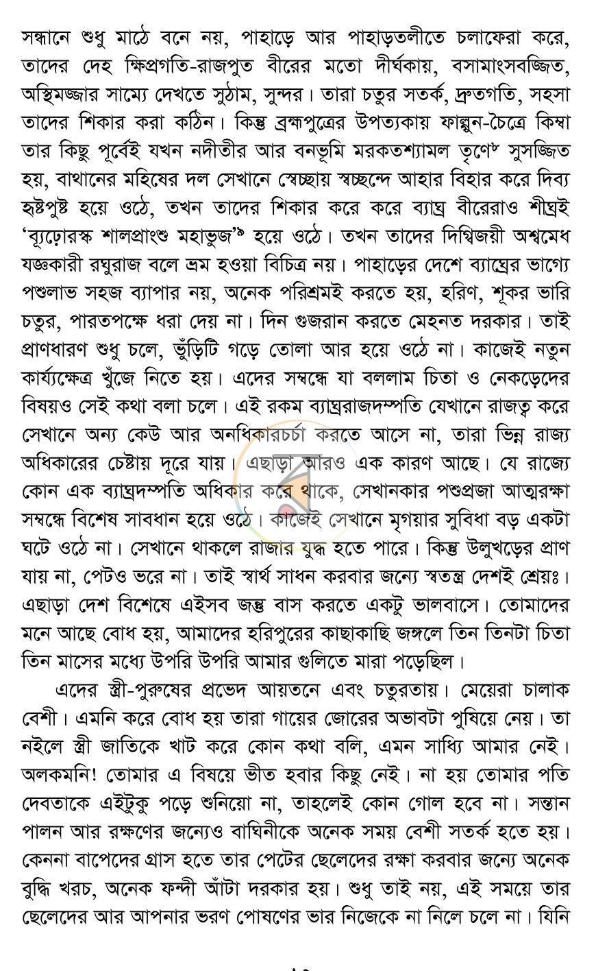 পাতা 13