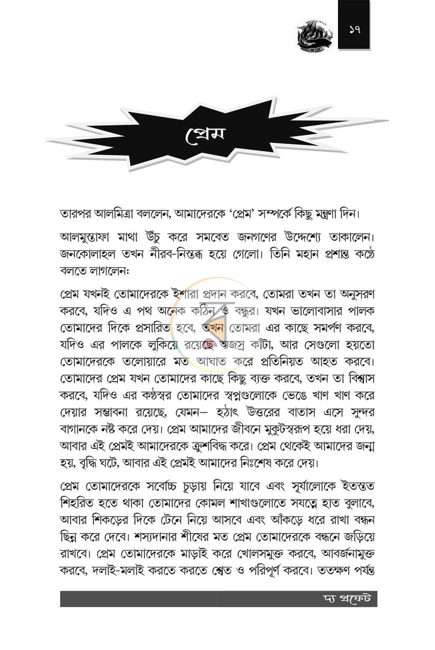 পাতা 11