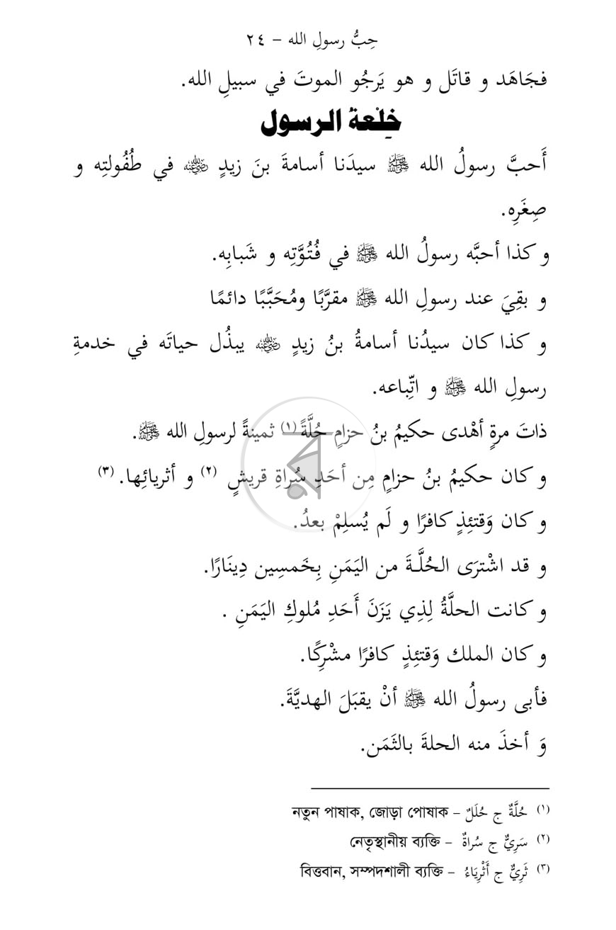 পাতা 13
