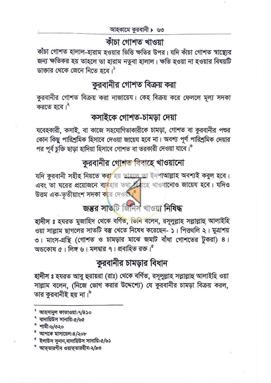 পাতা 13