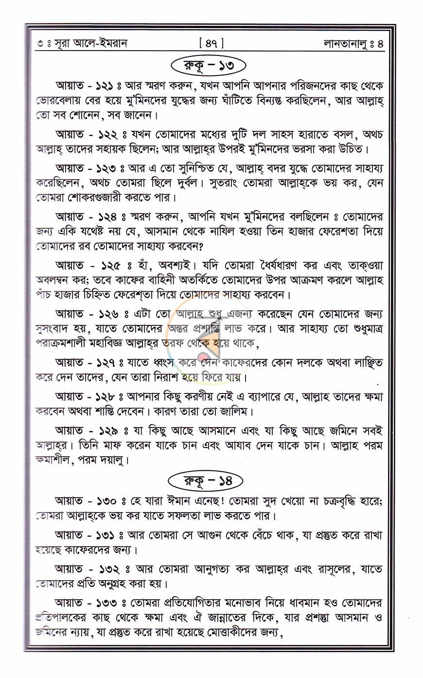 পাতা 17