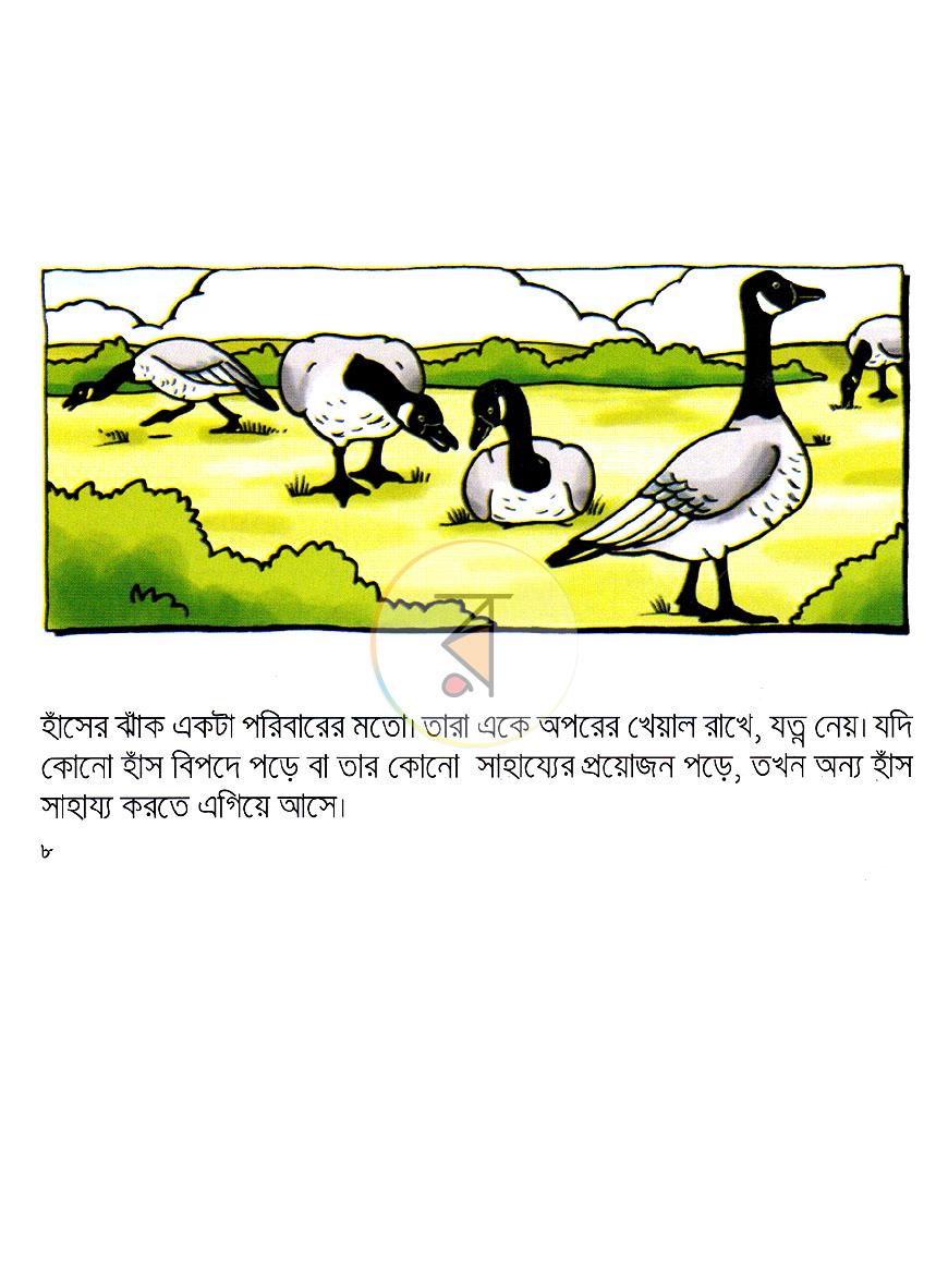 পাতা 4