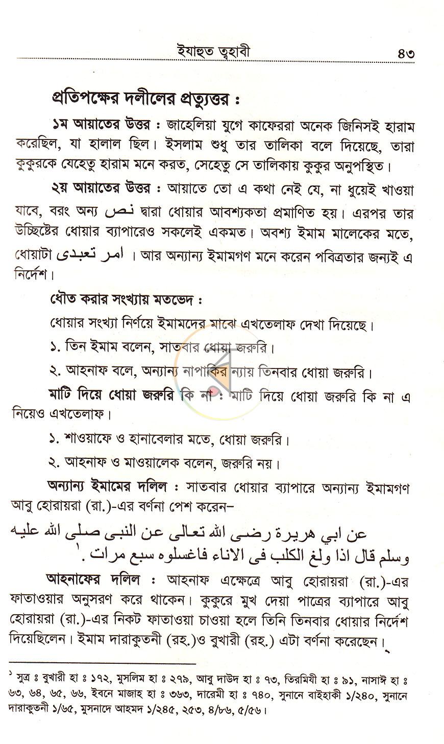 পাতা 19