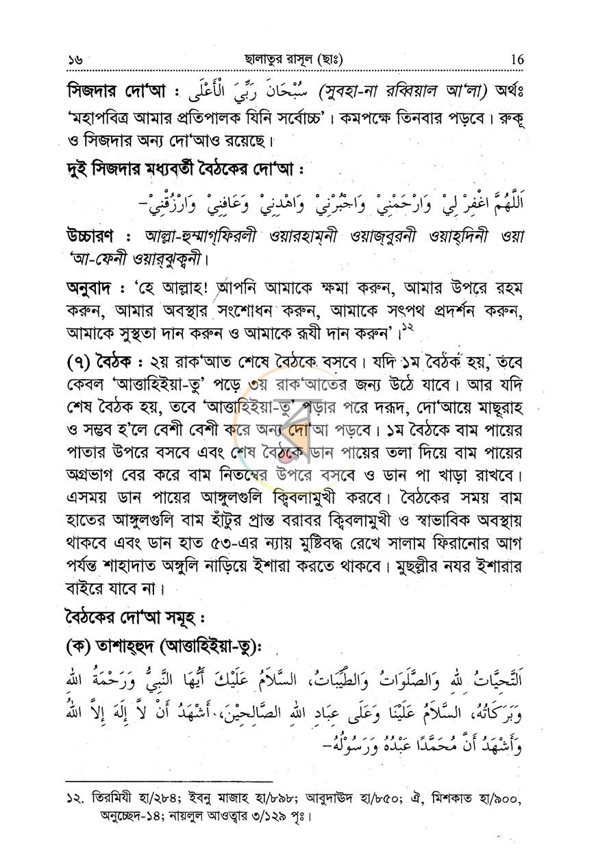 পাতা 11