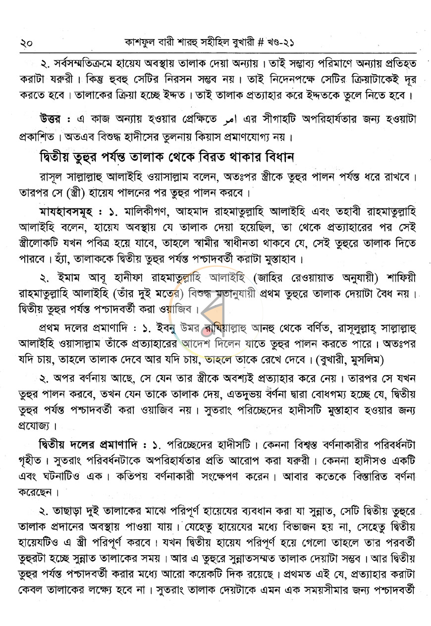 পাতা 13