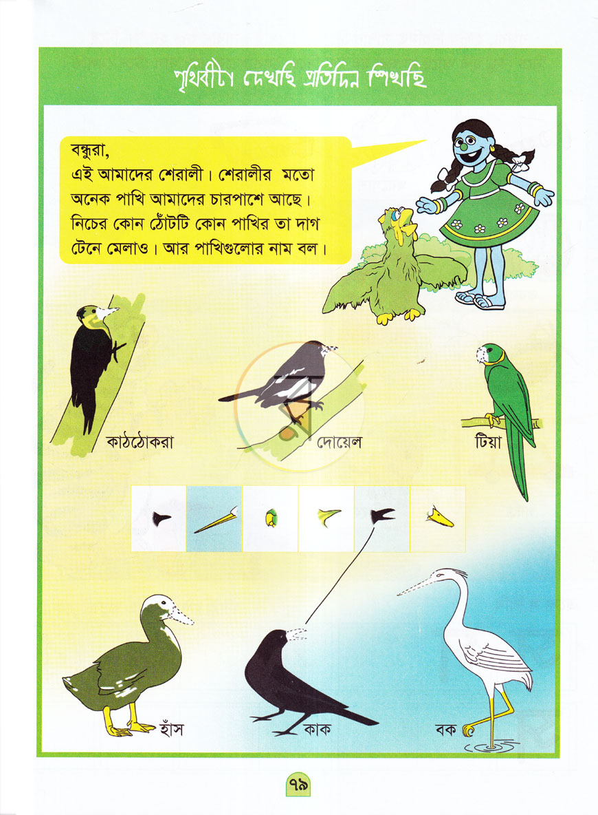 পাতা 8
