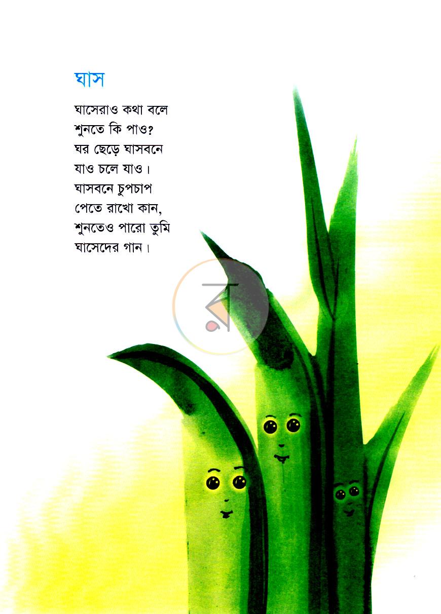 পাতা 5