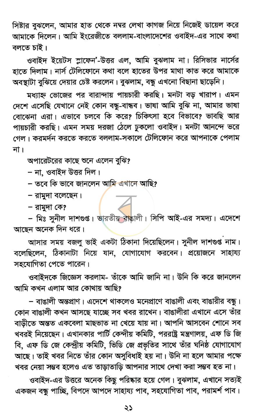 পাতা 13