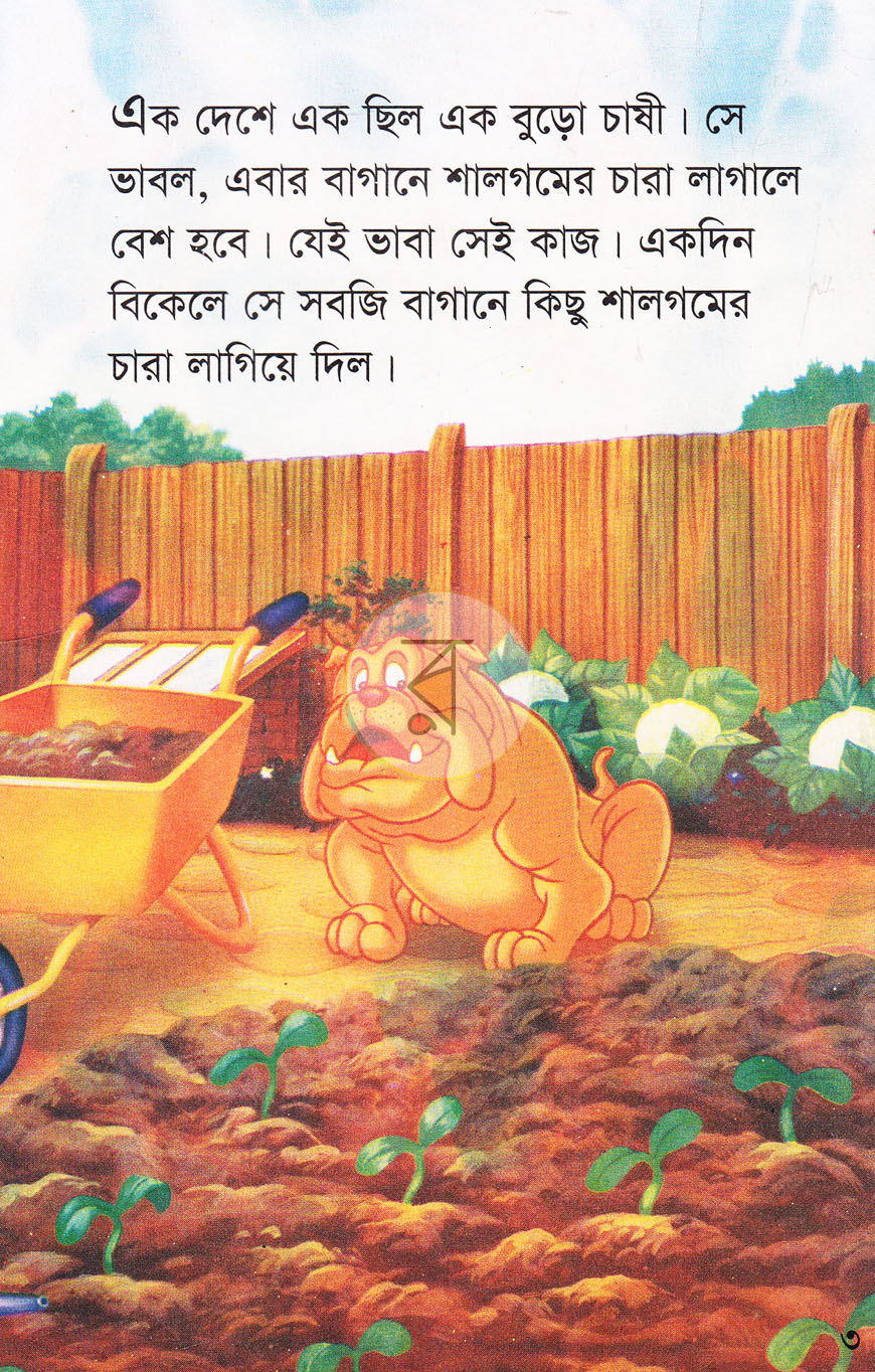 পাতা 3