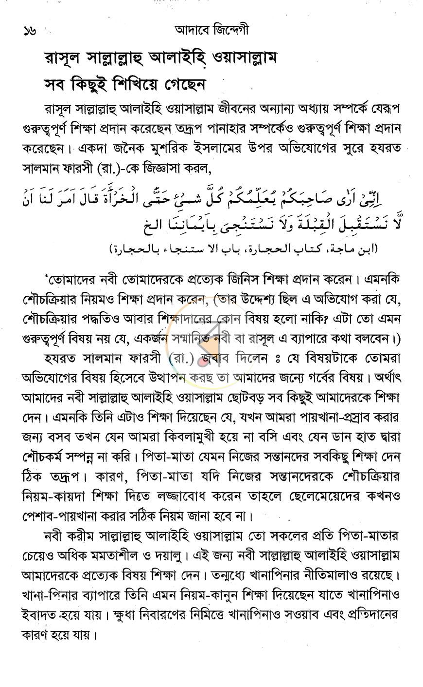 পাতা 8