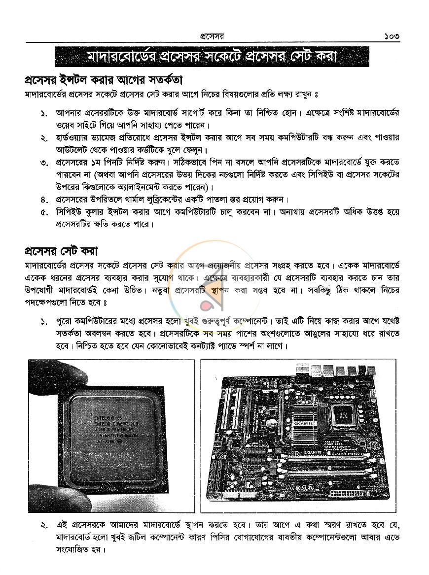 পাতা 10