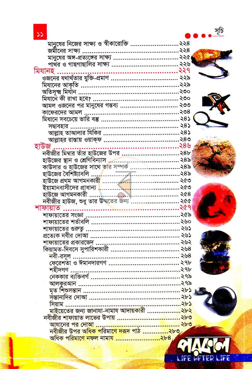 পাতা 8
