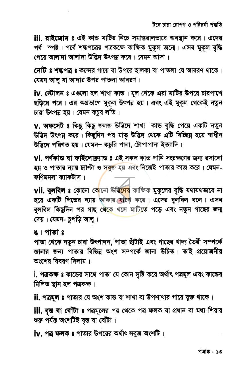 পাতা 8