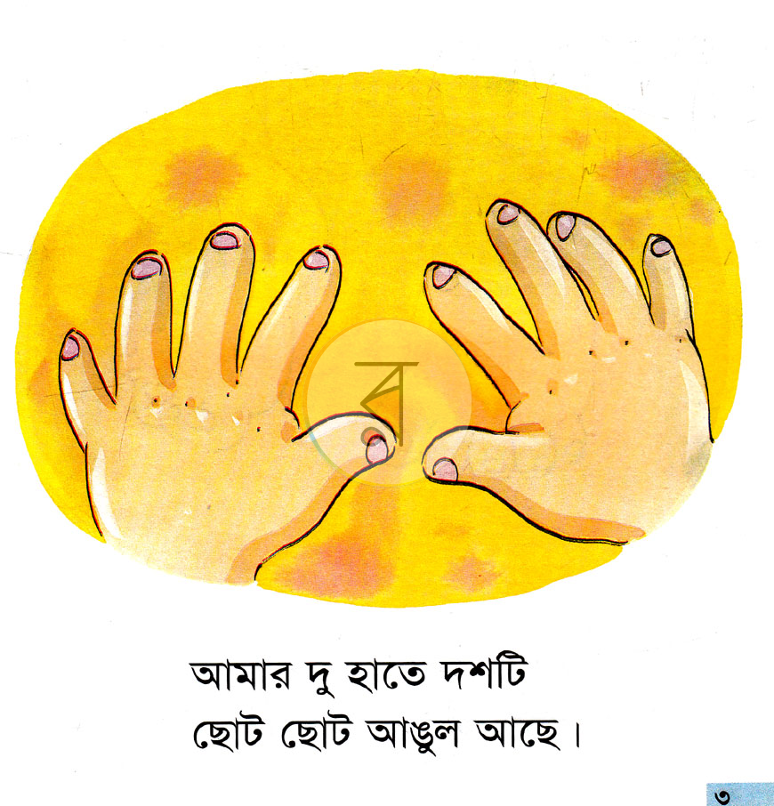 পাতা 3