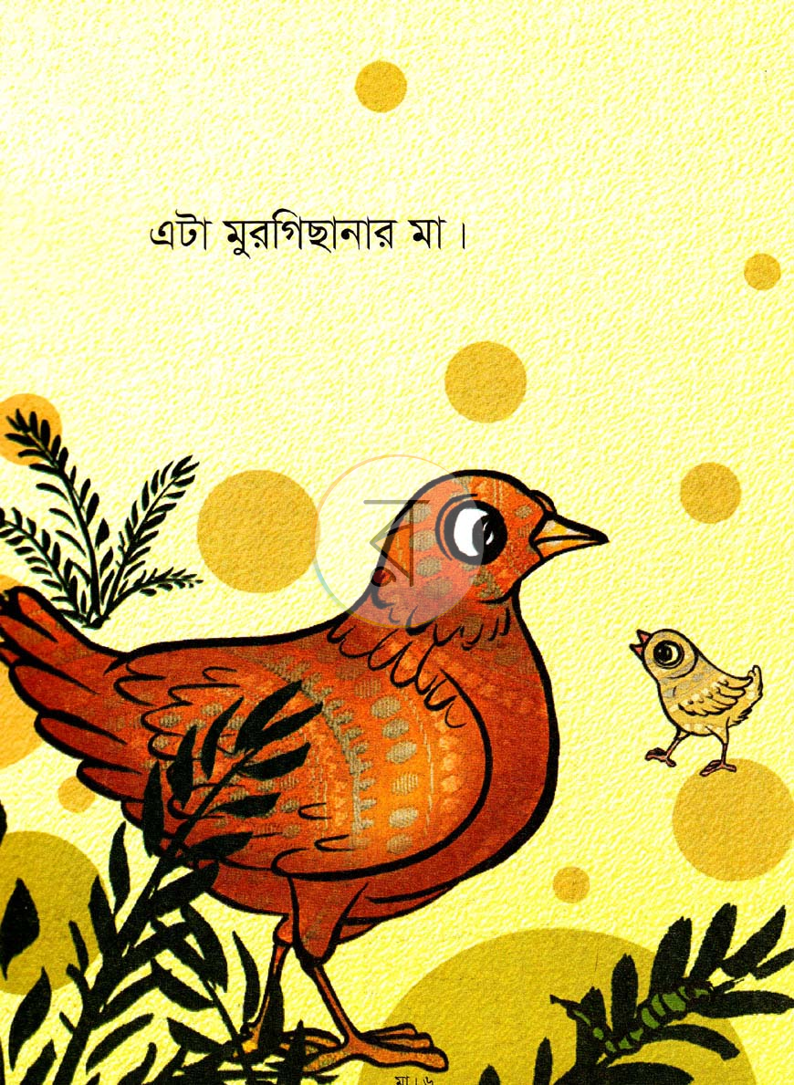 পাতা 5