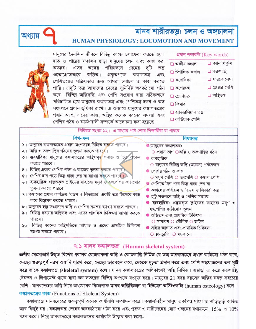 পাতা 9