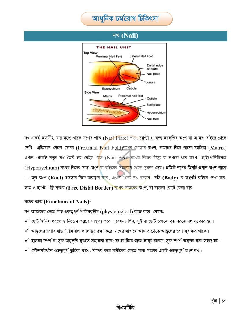 পাতা 17