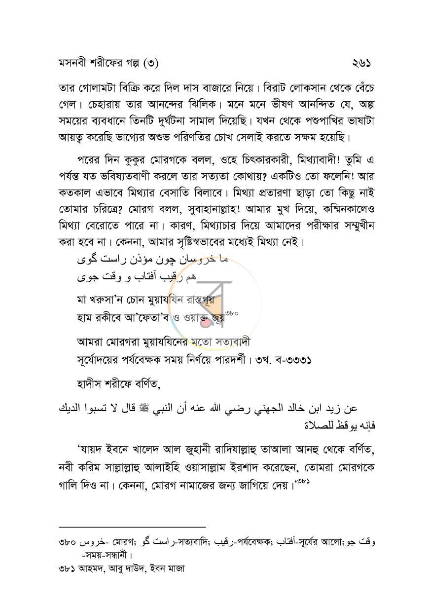 পাতা 13