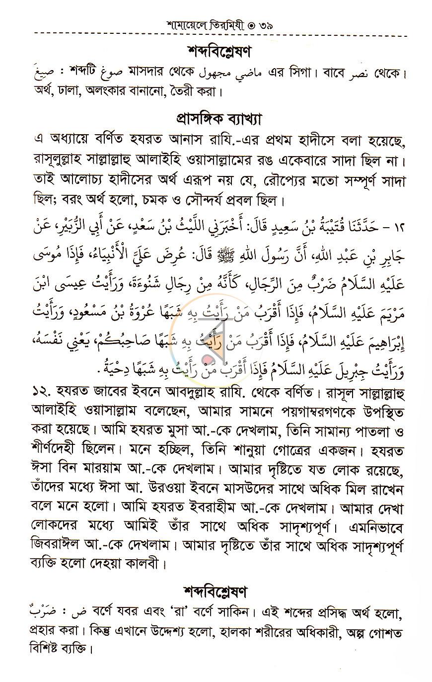 পাতা 12