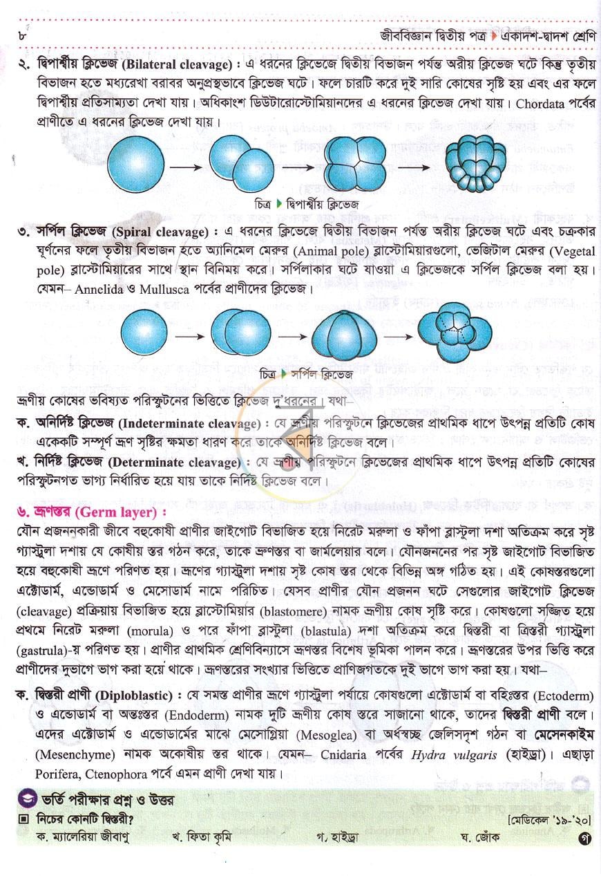 পাতা 2